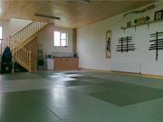 Ninjutsu Martial Arts Classes - Craughwell 